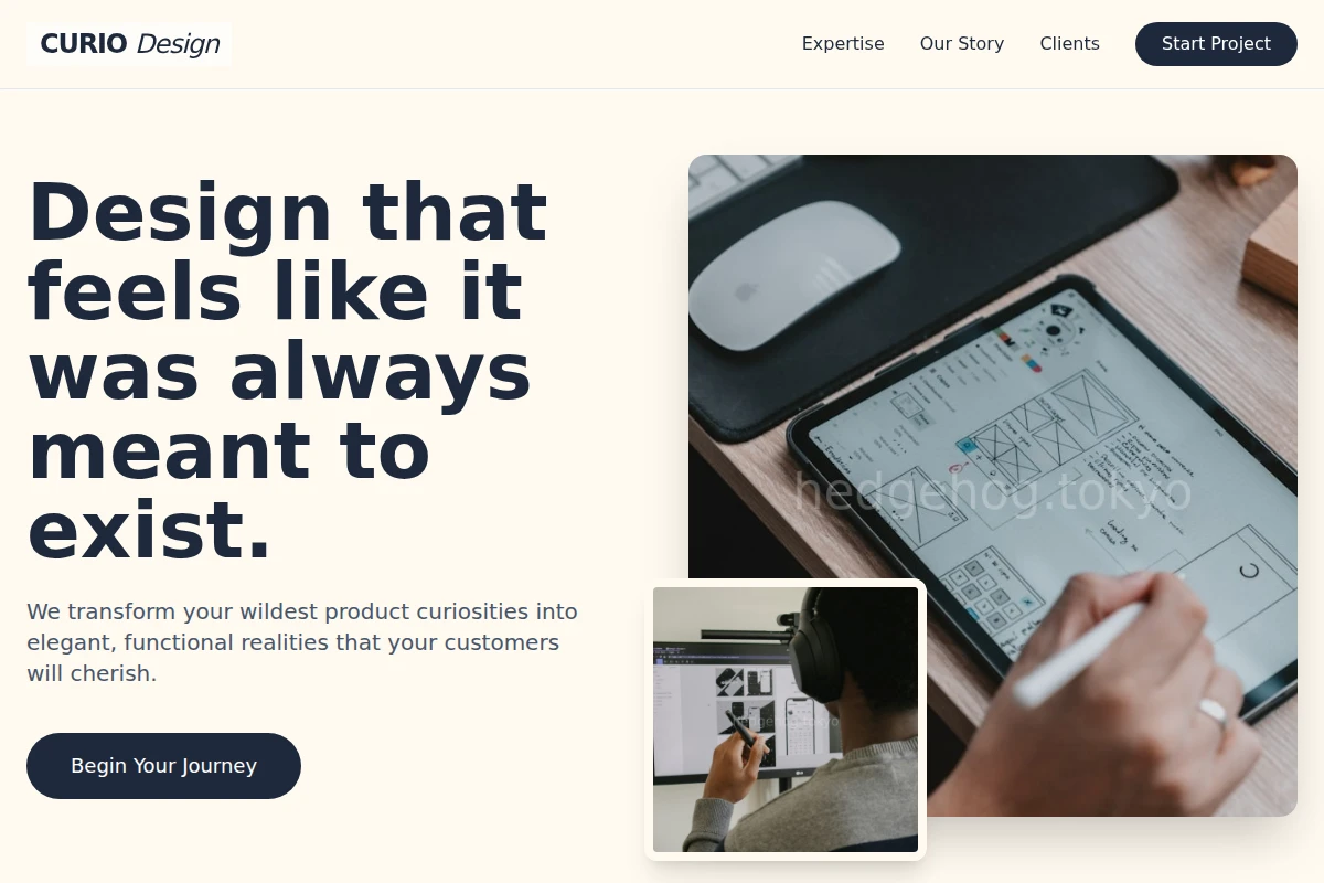 Curio Product Design